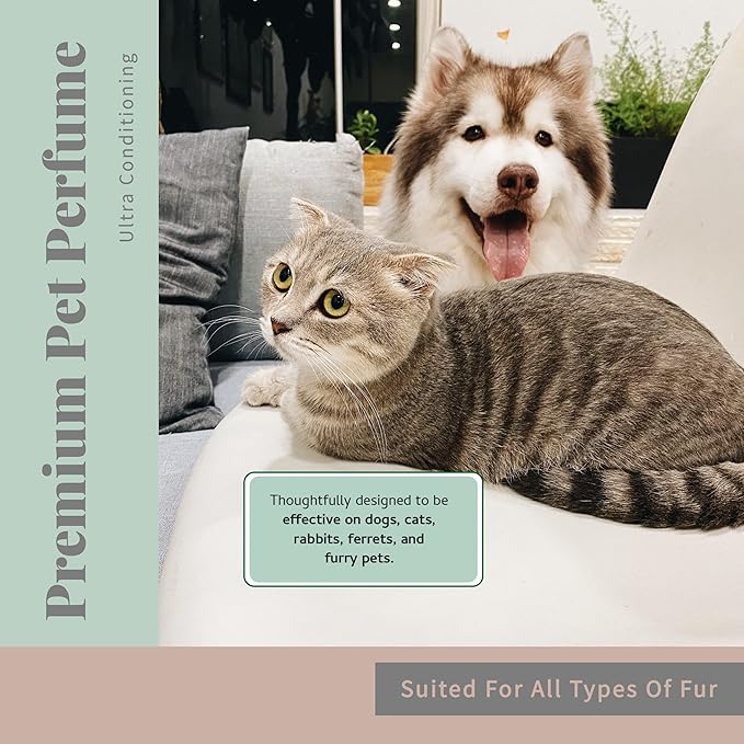 Begley's Pet Cologne and Deodorizer - Premium Essential Oil Dog Perfume Spray Long Lasting and Pet Odor Eliminator - Cat Perfume and Dog Cologne Spray - Lavender - 4 oz