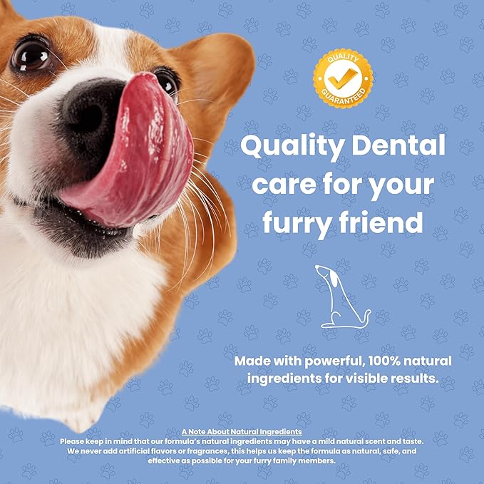 Dog Dental Powder | All-Natural for Teeth Cleaning | Plaque Remover for theeth and Breath freshener | Flavorless, Easy to Use | 3.17 oz - 45 supplys | Smile 2 Life