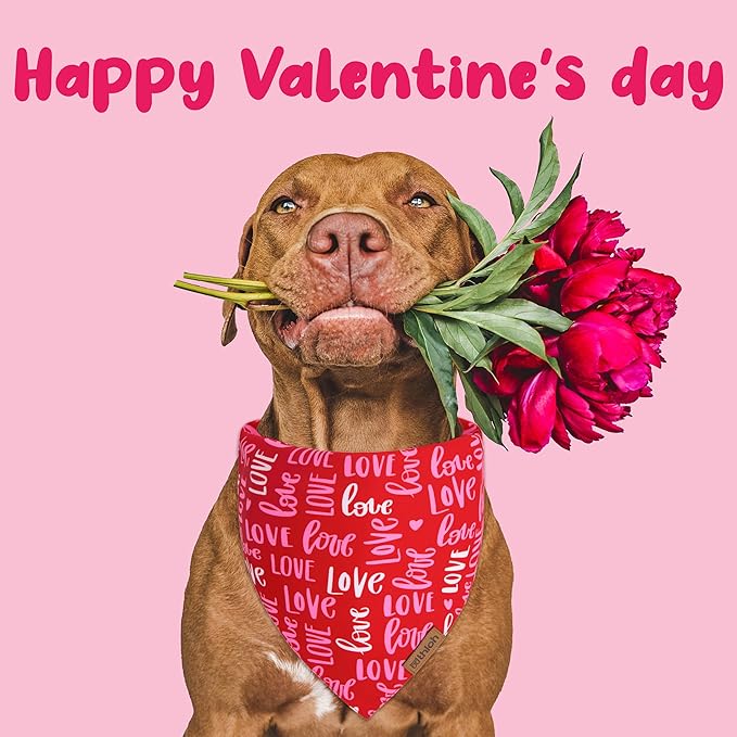 Valentines Dog Bandana - 2 Pack Triangle Dog Bandanas | Reversible Love and Heart Pet Scarf | Premium Durable Fabric | Boys & Girls | Holiday Bandana for Small and Medium Dogs (Small)