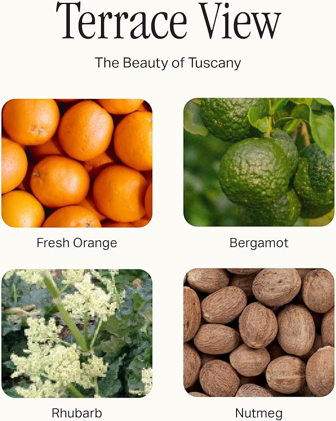 Preston Lane Signature Home Set – All Purpose Cleaner, Dish Soap, Hand Wash, Hand Cream & Scented Candle | Plant-Powered Cleaning & Care Essentials with Fine Italian Fragrance, Terrace View