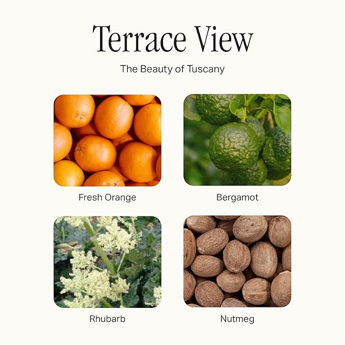 Preston Lane Luxury Dish Soap, Terrace View Scent – Plant-Powered Formula with Essential Oils | Tough on Grease, Gentle on Hands | Vegan, Cruelty-Free, Clean Ingredients