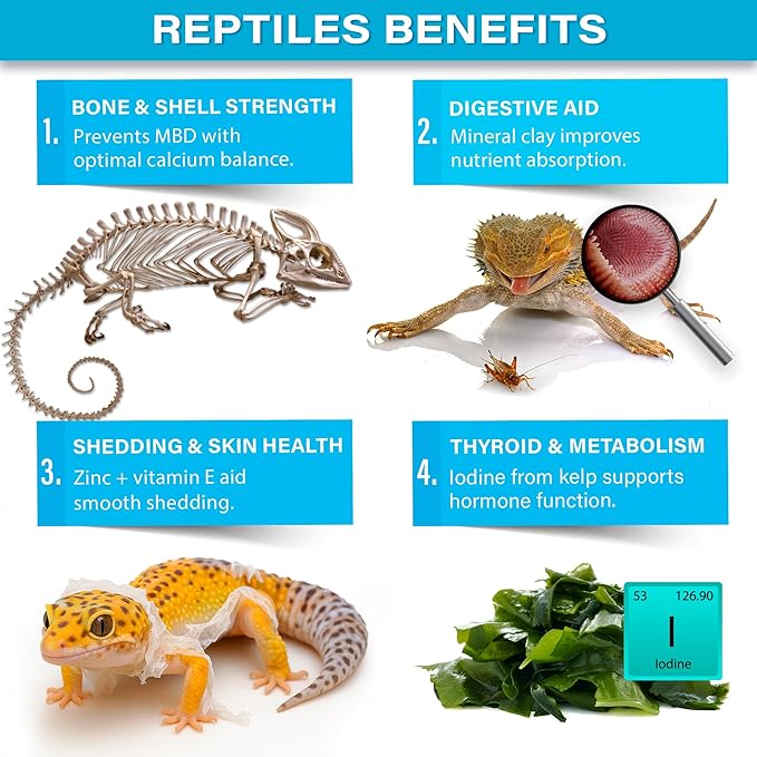 'Complete Minerals Plus' Supplement for All Reptiles | Supports Strong Bones, Shell, Skin, Muscle Function, Metabolism & Clay Minerals Boost | Lizards, Turtles & Tortoises | 3oz | Made in USA