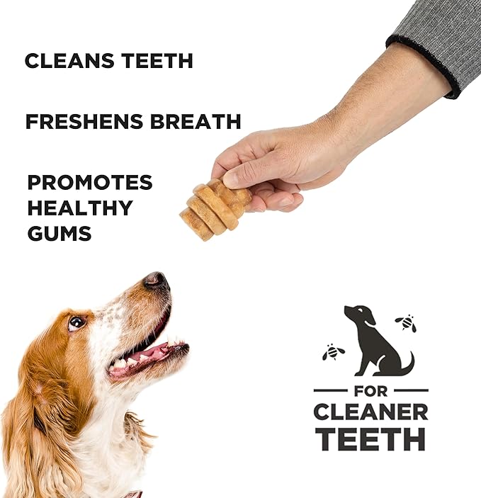 Hive Treats for Dogs Ñ Healthy, Non-GMO Project Verified, Natural Peanut Butter Flavored, Natural, Vegetarian Chews, Made in The USA (Hive Chews, Large Breeds)