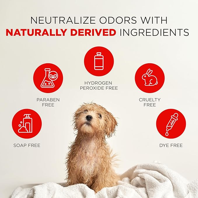 TropiClean Deodorizing Skunk Shampoo for Dogs - Extra Strength Skunk Odor Remover - 24 Hour Fast Relief - 20 oz