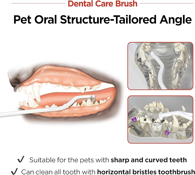 JAYU PET Dental Care Brush (Soft Bristles) 5ea - Dog Toothbrush, Cat Toothbrush, Dental Care for Kitten and Small Dogs, Removing Old Plaque and Tartar, Cat Teeth Brushing & Easy Cleaning