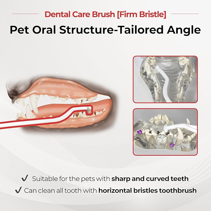 JAYU PET Dental Care Brush (Firm Bristles) 1ea - Resilient Dog Toothbrush, Cat Toothbrush for Tartar & Plaque Removal, Horizontal Head and S-Curved Body