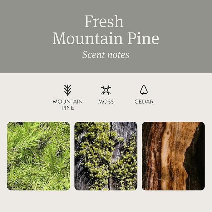 Drift Car Air Freshener - Stone Air Freshener Car Odor Eliminator - Long Lasting Scent - Auto Accessories - Metal Clip - Essential Oils - Clean Ingredients - Pine Scent Starter Kit