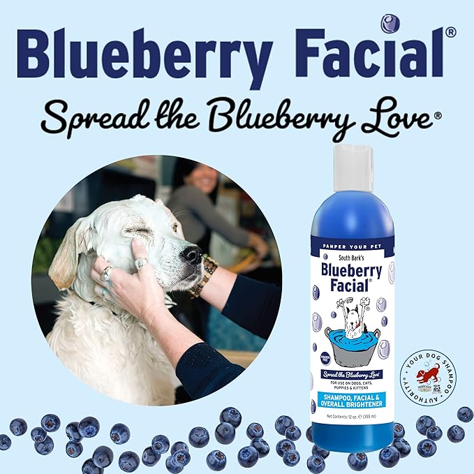 South Bark's Blueberry Facial® Pet Shampoo 12 oz. for Dogs & Cats | Pack of 12 | Brightener & Tear Stain Remover - Lasting Odor Eliminator | Paraben-Free | Biodegradable | Non-Toxic | Made in USA