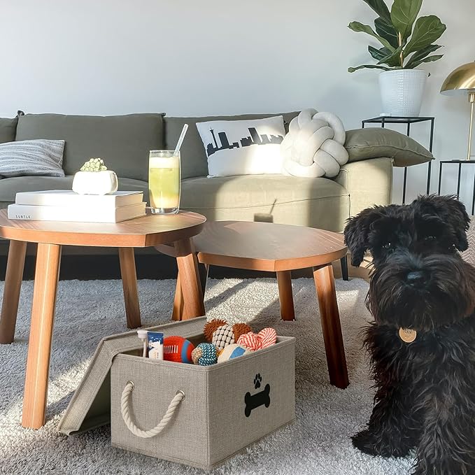 Dog Toy Basket with Lid, Dog Basket for Toys, Dog Toy Box with Cotton Rope Handles, Collapsible Storage Bins for Dog Toys, Dog Storage Organizer, Gray