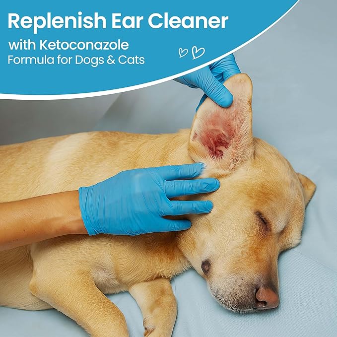 Replenish Otic Ear Cleaning Solution for Dogs – Antiseptic Ear Cleaner for Dogs & Cats – Advanced Ear Flush for Yeast Treatment and Odor Control – 8 oz