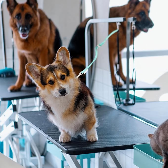 22" Grooming Loops in Turquoise - Secure and Stylish Restraints for Pet Grooming - Set of Essential Tools for Professional and Home Grooming