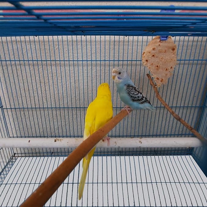 100 ft x 18 Inch Bird Cage Liner Disposable Parakeet Cage Liners Precut Absorbent Bird Paper Accessories for Pet Animal Parrot (White)