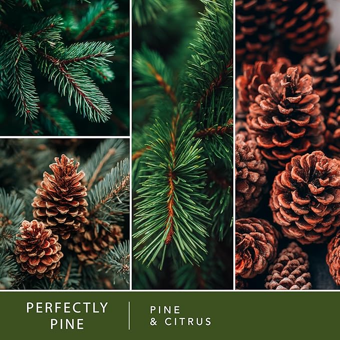 Scentsationals Wax Melts - Perfectly Pine Scented Fragrance - Wax Cubes Pack, Air Freshener - 10oz (24-Cubes)