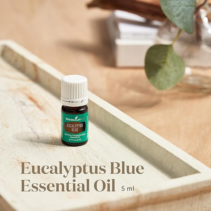 Young Living Eucalyptus Blue Essential Oil | 5 ml | Pure, Invigorating Botanical Extract | Crisp, Refreshing Aroma for Diffusers, Wellness, Comfort, and Soothing Aromatherapy Experience