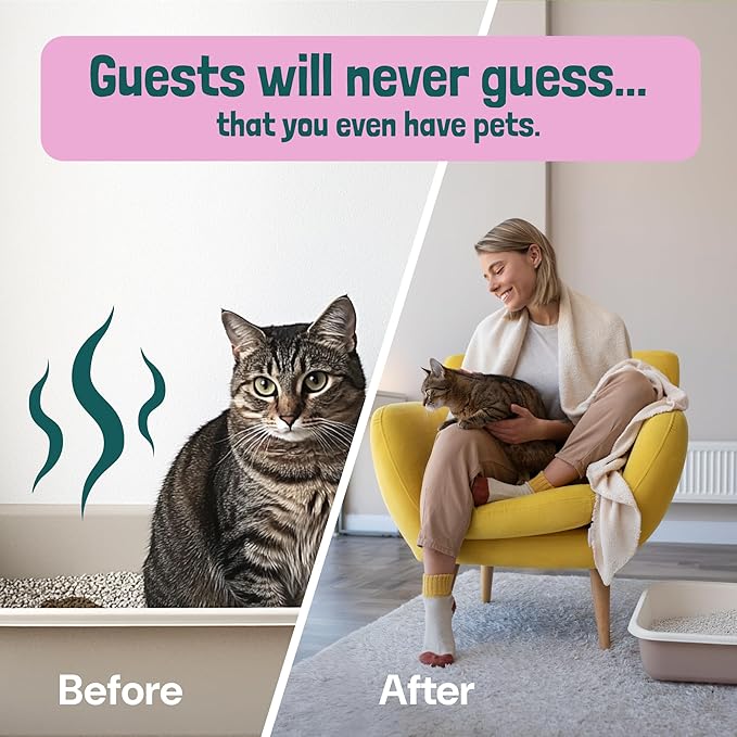 Sunny & Honey Cat Litter Deodorizer Spray - 32 fl oz, 1 Pack, Unscented - Source-Targeted Freshness & Litter Box Cleaner - Enzyme Cat Pee Cleaner - Fragrance-Free Deodorizer