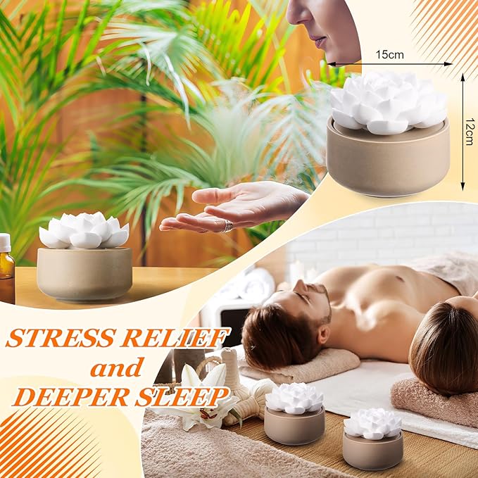 Honeydak 1 Pcs Flower Passive Essential Oil Diffuser Stone White Ceramic Porcelain Floral Diffuser with Container Non Electric Handmade Decorative Tabletops Home Decoration Christmas (Succulent)