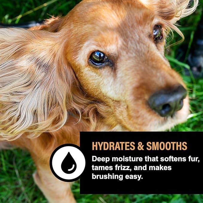 Dog Perfume Spray – Deodorizing Coat Spray for Dogs That Hydrates & Enhances Shine – Dog Cologne & Leave-in Conditioner – Oatmeal Honey 8oz