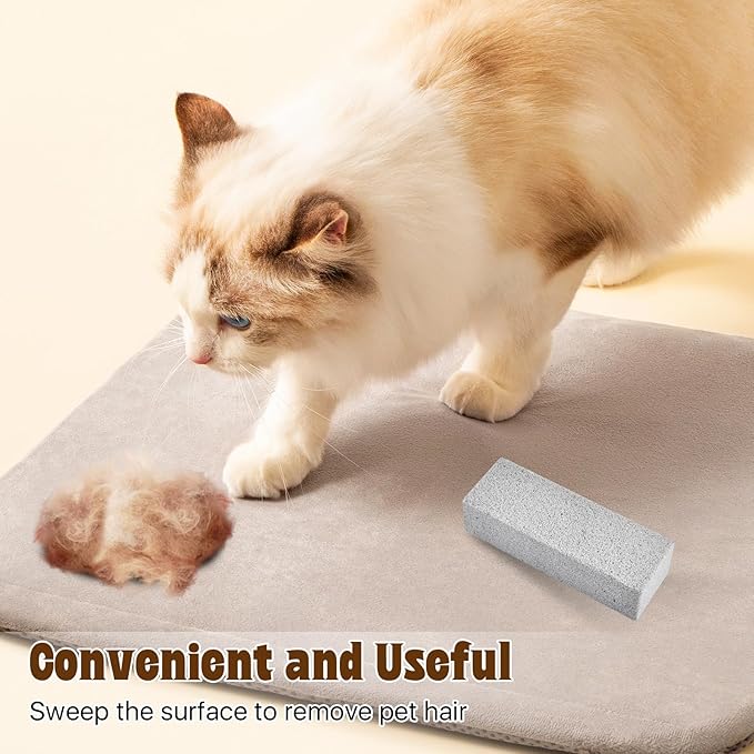10Pcs Pet Pet Hair Removal Stone, 6 Inch Pet Fur Remover Pumice Stone for Dog Cat Hair Removal,Cleaning Pet Hair Stone Dog Fur Removal Tool for Car Bedding Carpet Furniture Clean (6x2x1.6 IN)