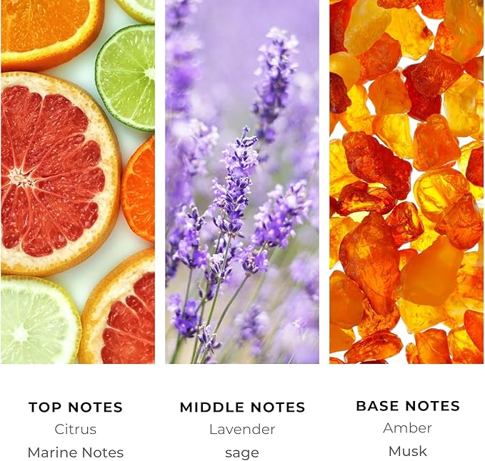 Brilliant Scents Diffuser Oil Refill, Inspired by Breakline by Hollister Designer Collection Aroma Scents, Essential Oils Set for Home, Fragrance Oil for Candle Making, Hotel, 50ML, Break Line