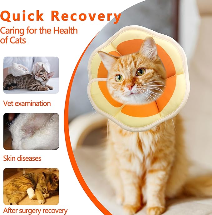 Soft Adjustable Cat Cone Collar, Comfortable Recovery Collar for Cats After Surgery (Orange, Medium)