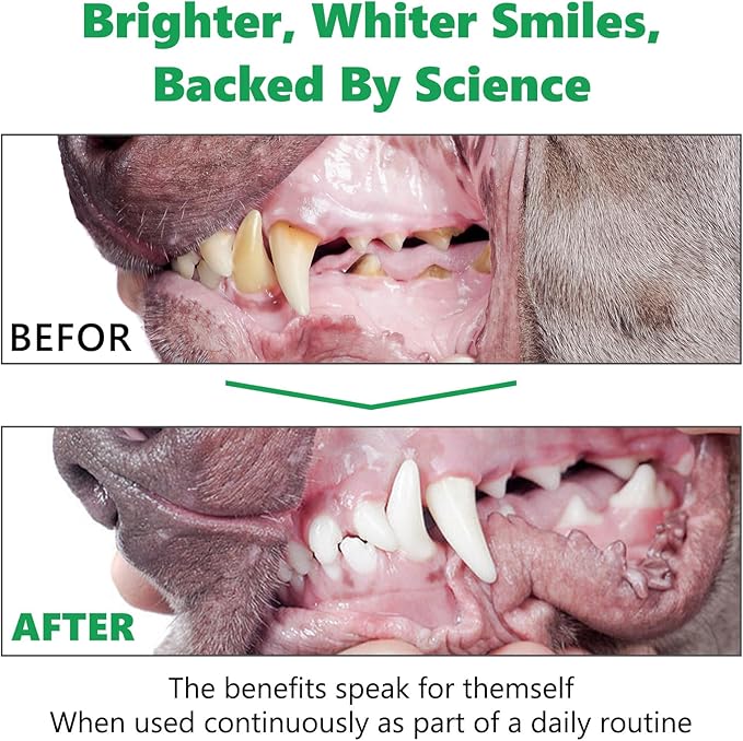 Dog Dental Powder with Probiotics & Green Tea, Natural Breath Freshener for All Small Medium Large Dogs, 120g