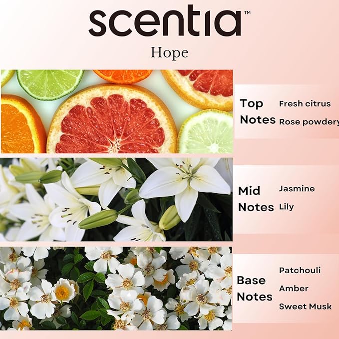 Chance-Inspired Diffuser Oil Refill- Scentia Hope Dupe Fragrance Oil Blend, Home Luxury Scents, Essential Oil Sets for Aromatherapy, Humidifiers & Candle Making | 50ml, 1.69FlOz, Thanksgiving Gift
