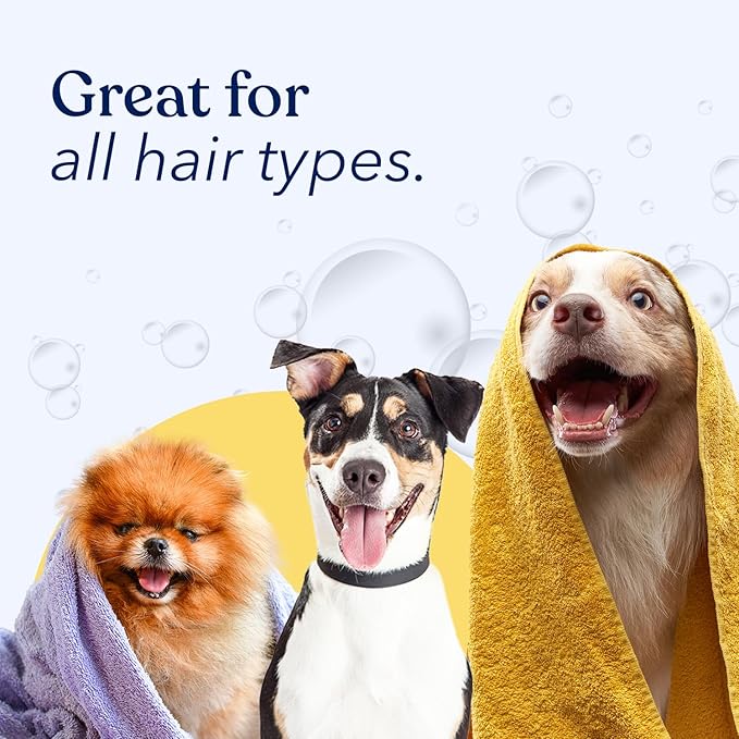 Honest Paws Dog Conditioner - Detangle & Moisturize - Premium Pet Conditioner for Itchy and Dry Skin - Hydrate Sensitive Skin - Shiny Coat Soft Hair Smooth Fur - Mandarin & Berry - 16oz