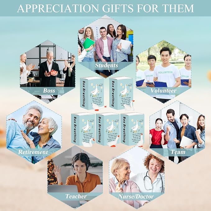 25 Set Employee Appreciation Gifts Bulk Coworkers Thank You Desk Pets Holiday Small Cute Emotional Support Resin Ornaments Card Box for Women Men Adults Office (Goose)