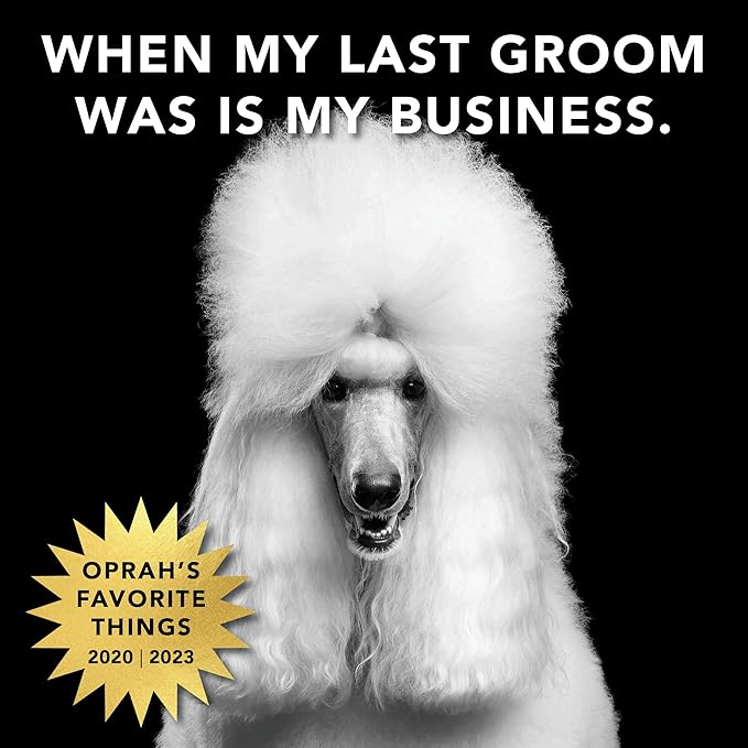 Pride and Groom The Mane Tame Dog Dry Shampoo – Waterless Foam for Dogs and Cats Made in USA for a Rinse Free Cleanse and to Eliminate Odor in Between Baths On-The-Go – 7.1 fl oz