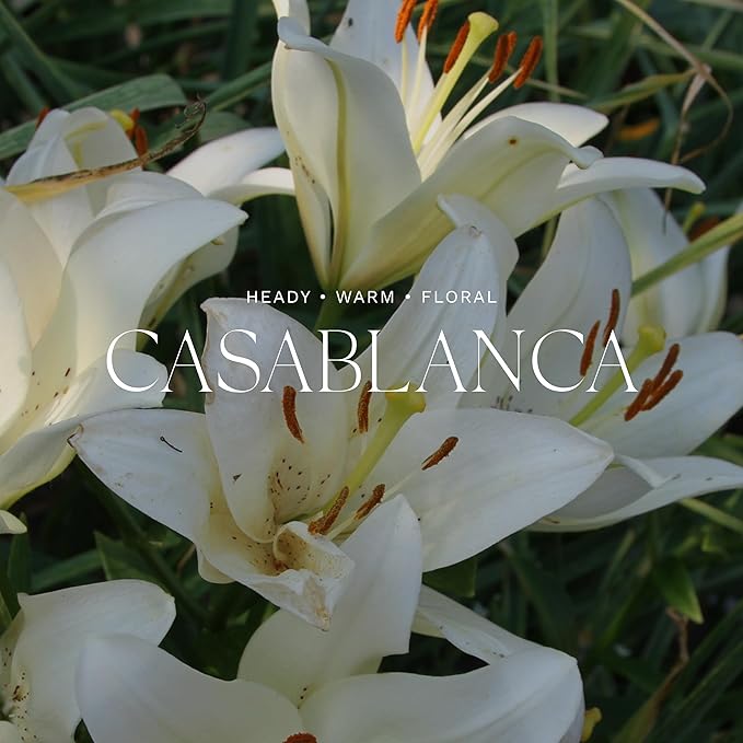 Antica Farmacista Room Spray - Casablanca, 3.4 Fl Oz (Pack of 1)