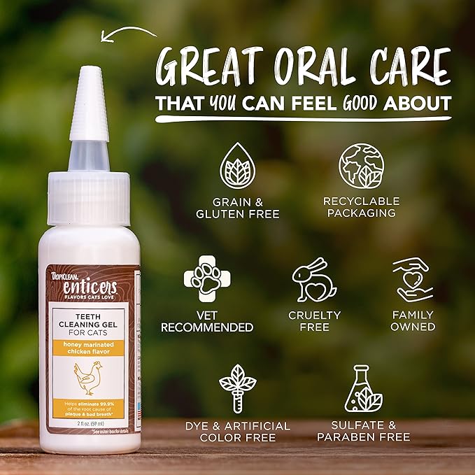 TropiClean Enticers Cat Teeth Cleaning Treat Gel | Honey Chicken Flavored Cat Toothpaste Alternative | 2 oz