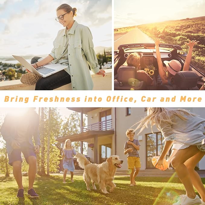 ESSLUX Summer Fragrance Oil Set, Soap Candle Making Scents, Essential Oils for Diffusers for Home, 6x10ml, Brisk Summer, Ocean Breeze, Tropical Fruits and More