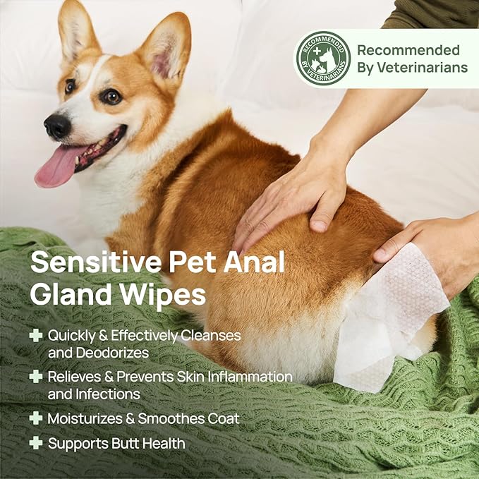 HICC PET Wipes for Dogs & Cats, Vet Recommended Cleaning Deodorizing & Soothing Allergy Infections Anal Gland Wipes, Hypoallergenic Hydrating & Nourish Fur Dog Grooming Wipes for Paw, Butt, Body