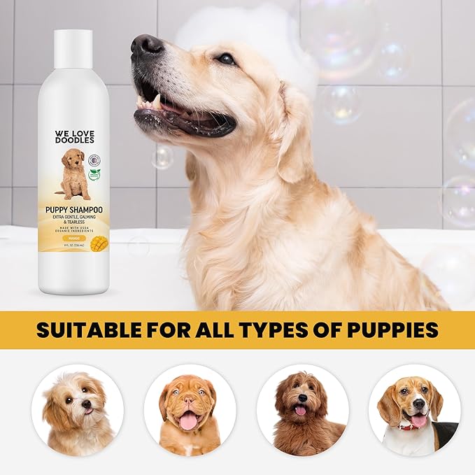 We Love Doodles Puppy Shampoo & Conditioner and Pin Brush | Oatmeal Bathing | Sensitive & Itchy Skin Wash | Brush for Grooming Pet Hair | Brush for Shedding and Removing Loose Fur | Made in USA