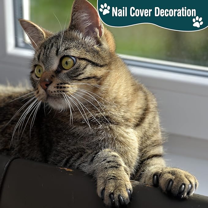 9 Pcs Cat Bathing Bag Set Cat Shower Bag Anti Bite and Scratch for Pet Grooming Washing Brush Comb Muzzle Nail Clipper Nail File Tick Tool(Black)