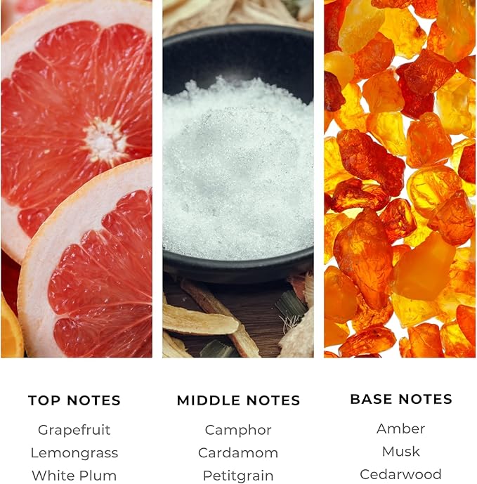 Brilliant Scents Diffuser Oil Refill, Inspired by Dubai/Mercedès Benz Designer Collection Aroma Scents, Essential Oils Set for Home, Fragrance Oil for Candle Making, Hotel, 500ML, Velvet Luxe