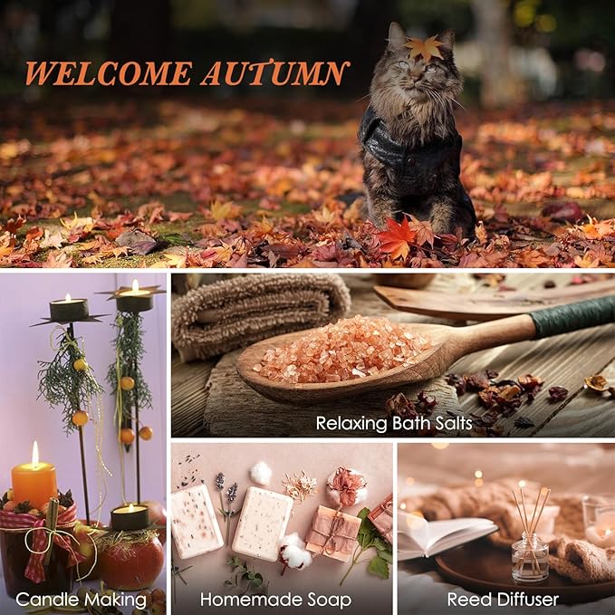 SALUBRITO Fall Fragrance Oils Set, Autumn Essential Oil for Diffuser, Candle Making, Aromatherapy Oils Gift - Cinnamon, Pumpkin Spice, Vanilla, Snickerdoodle, Spiced Cider, Nutmeg, 6x10ml