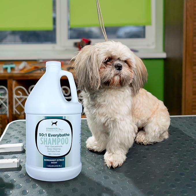 50:1 Everybathe Shampoo - 1 Gallon - Can Be Diluted Up to 50:1 - Can Be Used On Dogs Or Cats 12 Weeks Or Older - Free of Parabens and Sulfates