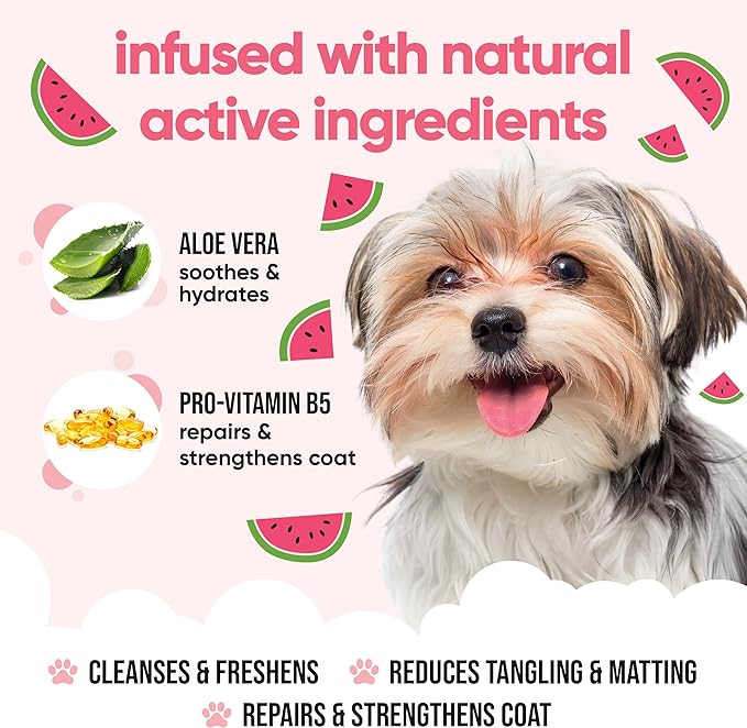 Watermelon Dog Shampoo by Buddycare | Dry Skin & Itchy Skin Relief for Smelly Dogs | Deep Cleansing Shampoo for Dogs Puppy Sensitive Skin | Dog Shampoo & Conditioner | with Aloe & Vitamin B5 (16.90oz)