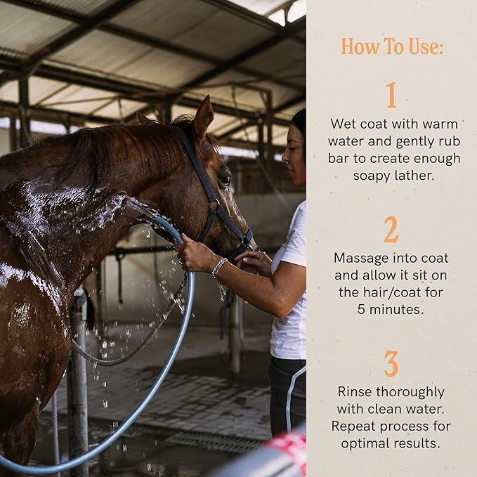 JR Liggett’s Liquid Botanical Horse Shampoo for Sensitive Skin - 100% Detergent-Free, Non-GMO Formula - Gently Deep Cleans and Nourishes Healthy Skin, Mane & Tail - 16.9 fl oz