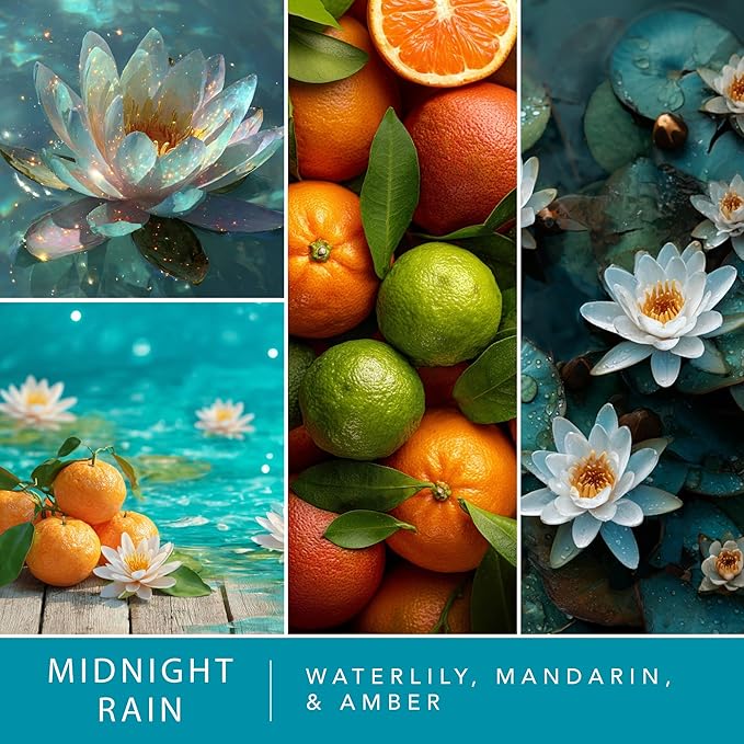 Scentsationals Fragrance Oil Plug In Air Freshener Refills 3-Pack - Midnight Rain - Works with Scentsationals Wall Plugs, Long-Lasting Home Fragrance, 0.8 fl oz Each, Packaging May Vary