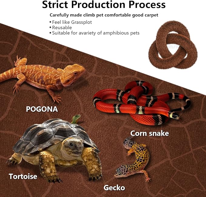 2 Pack Reptile Carpet Desert Reptile Mat & Reversible Substrate, Terrarium Liner Bedding, for Lizard,Chameleon,Gecko,Snake,Ceratophrys with Tweezers Feeding Tong (20 Gallon(30x12in))