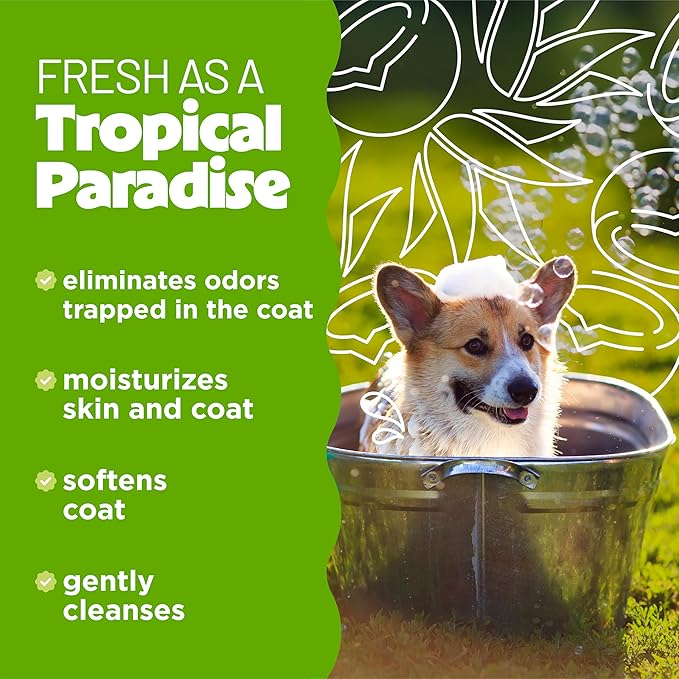 TropiClean Deodorizing Dog Shampoo for Smelly Dogs, Professional Dog Shampoo, Powerful Odor Control, Puppy Safe, Aloe & Coconut Scent, 2.5 Gallon