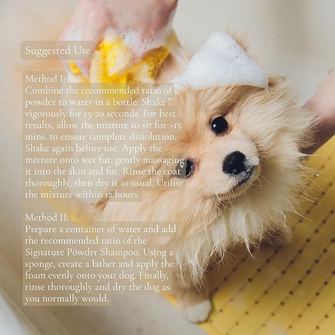 Unscented Dog Dry Shampoo, Powder Shampoo for Dogs, Regular Skin & Coat, 3.5 oz with Bamboo Spoon