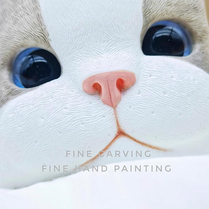 Cat Keepsake Box Memory Decorative Box Cat Portrait Gifts For Pet Owners And Pet Lovers Holds Jewelry Cat's Whiskers Fur and as a Memory Box(Ragdoll Cat)