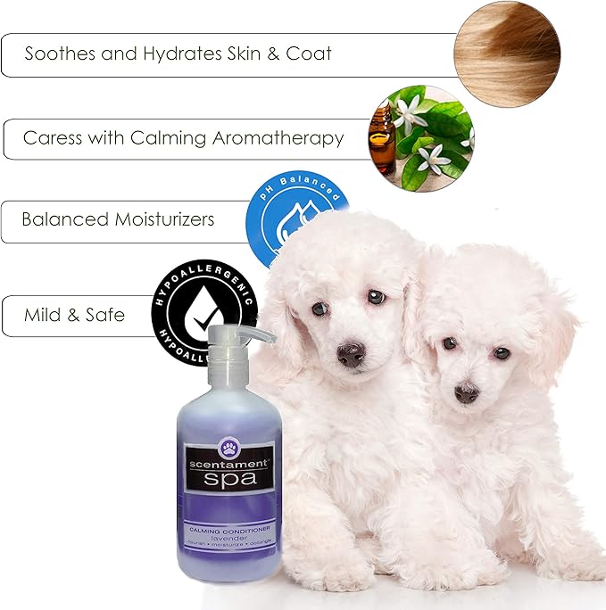 Best Shot Scentament Spa Calming Conditioner, Skin Care Product for a Dog and Cat, Hypoallergenic Puppy Supplies, Lavender Aloe, 16 Ounces