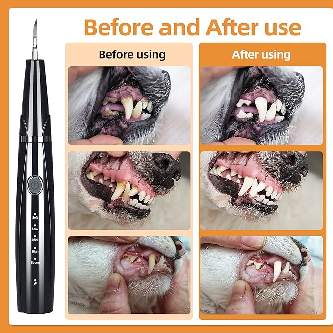 Ultrasonic Dog Plaque and Tartar Remover, Teeth Cleaning Kit for Pets, Rechargeable Dental Scraper for Pets, 5 Modes with 3 Cleaning Heads and LED Light