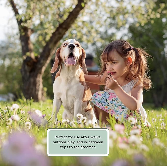 Begley's Pet Cologne and Deodorizer - Premium Essential Oil Dog Perfume Spray Long Lasting and Pet Odor Eliminator - Cat Perfume and Dog Cologne Spray - Baby Powder - 8 oz