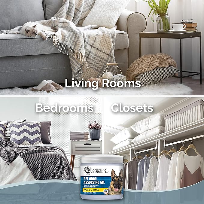 SMELLS BEGONE Pet Odor Absorber Gel - Air Freshener & Odor Eliminator - Made with Essential Oils - Fresh & Clean Scent - 15 Ounce