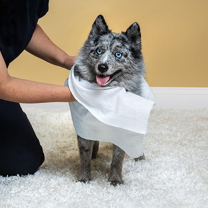 Himmy Large Pet Wipes for Dogs and Cats - 12" x 18" Bath Wipes for Cleaning, Deodorizing, Conditioning, Anti-Itch Grooming, Wet Dog Wipes for Paws, Butt, Ear, Eye, Face, Whole Body Watermelon